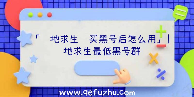 「绝地求生购买黑号后怎么用」|绝地求生最低黑号群